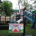 PARK LINOWY (5)